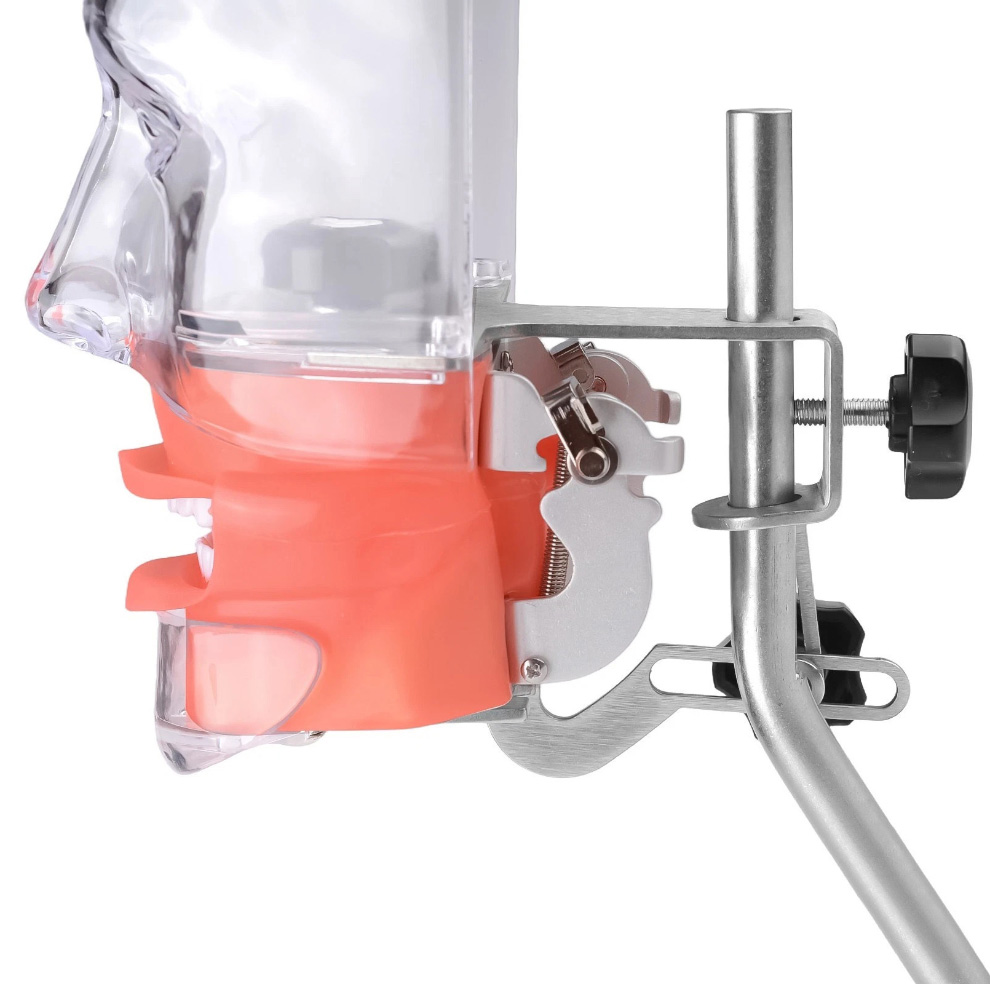 Dental Phantom Head Manikin Model with 28Pcs/32Pcs Teeth Typodont and FE Articulator Compatible with Nissin Kilgore